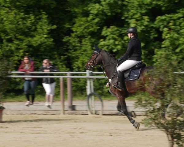 Reitturnier Winnenden 2025