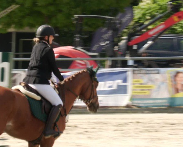 Reitturnier Winnenden 2025