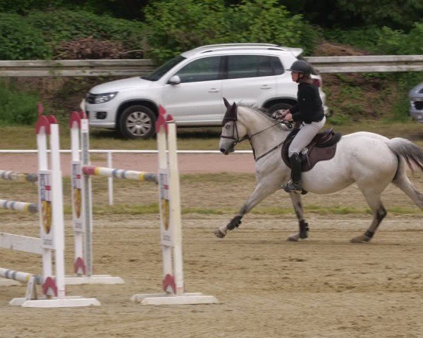 Reitturnier Heiligenwald 2025
