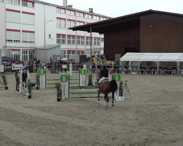 Reitturnier Sulgen 2025