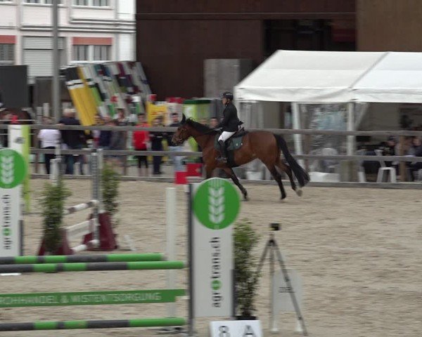 Reitturnier Sulgen 2025