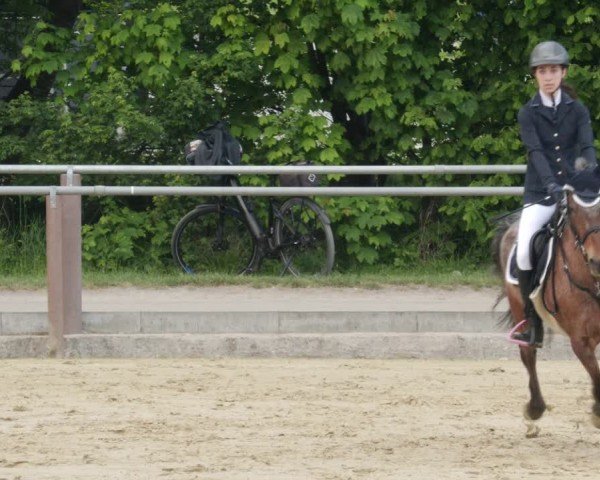Reitturnier Winnenden 2025