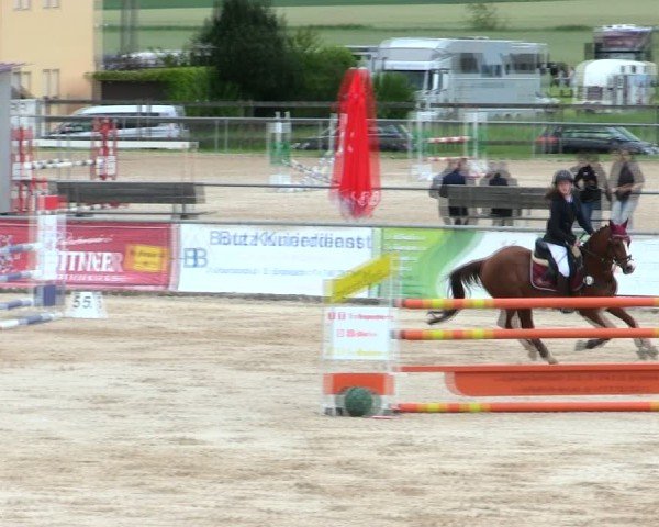 Reitturnier Mallersdorf-Pfaffenberg/Ndb. 2025