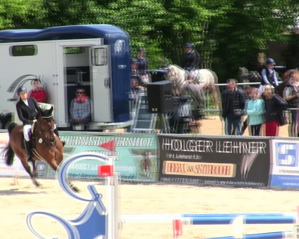 Reitturnier Mallersdorf-Pfaffenberg/Ndb. 2025