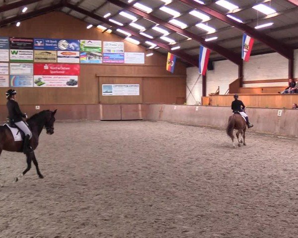 Reitturnier Risum-Lindholm 2025
