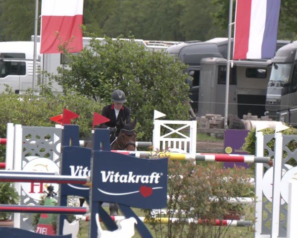 Reitturnier Bremen - Reitanlage Forkert 2025