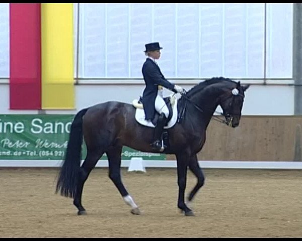 Dressurturnier Vechta 2014