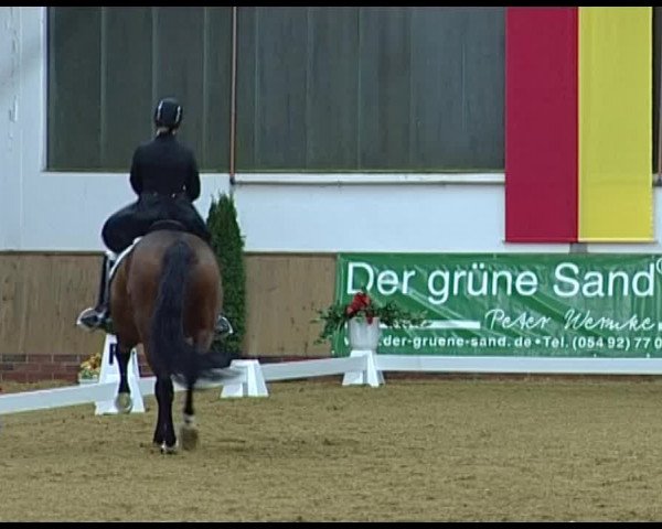 Dressurturnier Vechta 2014