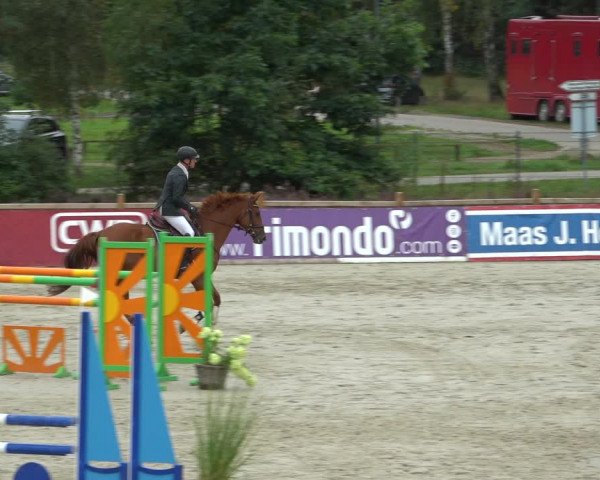 Reitturnier Westergellersen 2021