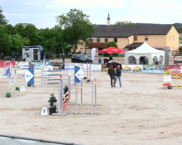 Reitturnier Mallersdorf-Pfaffenberg/Ndb. 2025