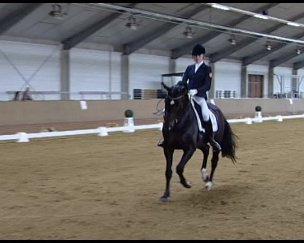 Dressurturnier Vechta 2014