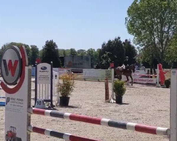 Reitturnier Barlo-Bocholt 2025