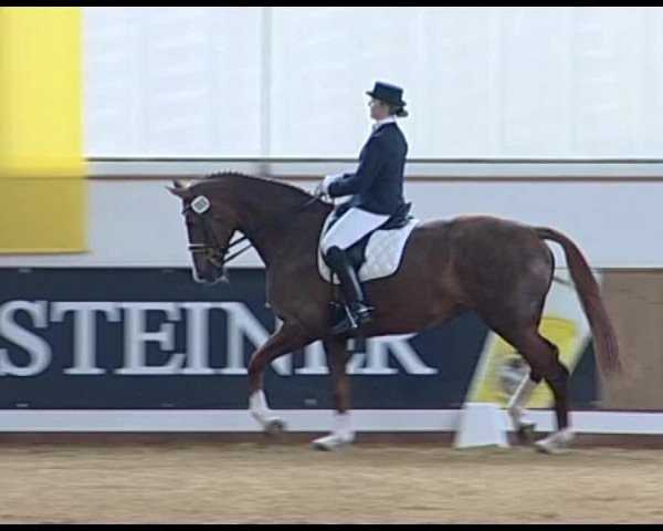 Dressurturnier Vechta 2014