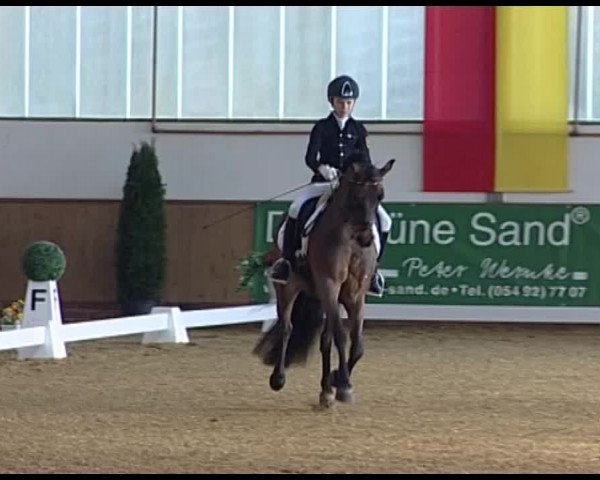 Dressurturnier Vechta 2014