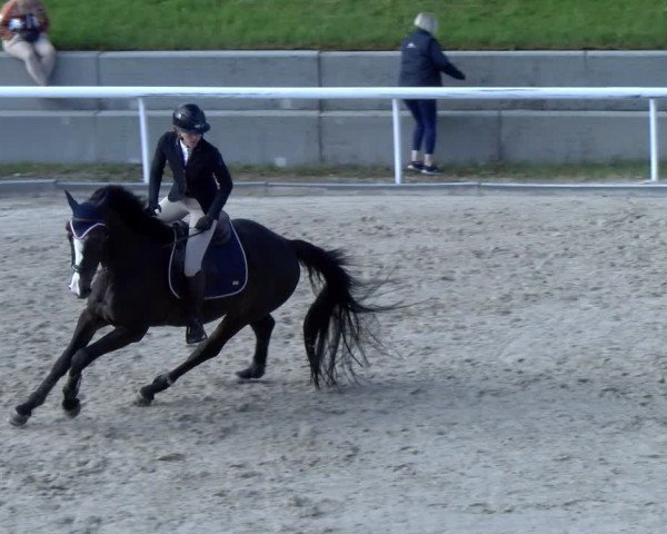 Reitturnier Rüti 2025