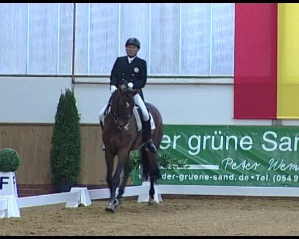 Dressurturnier Vechta 2014