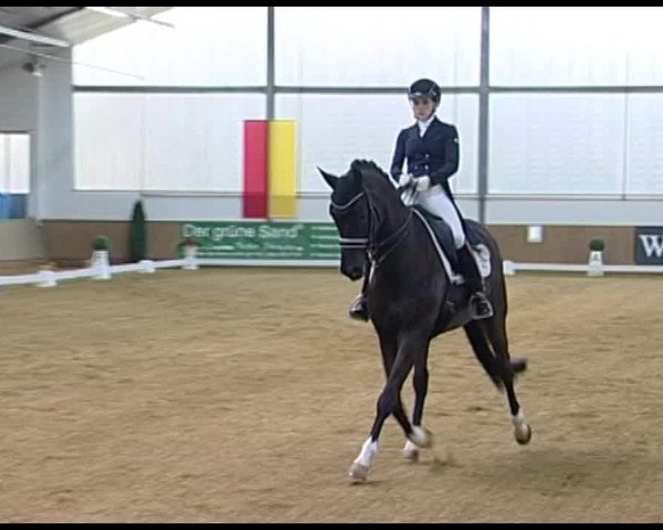 Dressurturnier Vechta 2014
