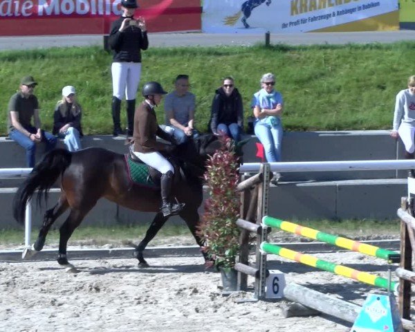 Reitturnier Rüti 2025