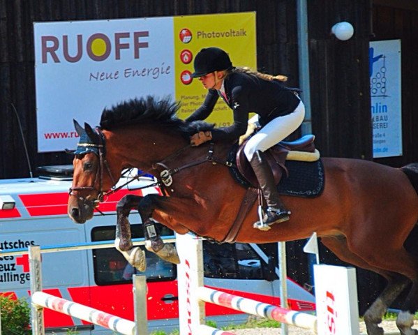 jumper Conchicco GH (Württemberger, 2008, from Ciacomo)