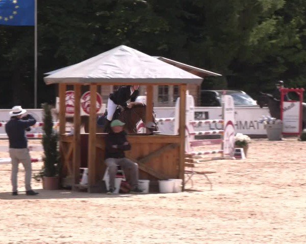 Reitturnier Ranshofen - Braunau am Inn 2025