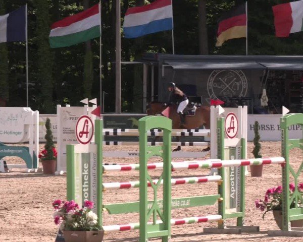 Reitturnier Ranshofen - Braunau am Inn 2025