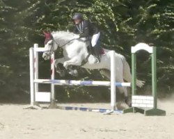jumper Roxana 253 (unknown, 2001)