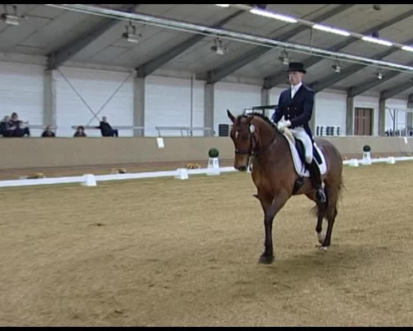 Dressurturnier Vechta 2014