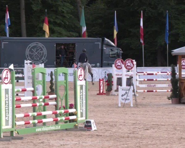 Reitturnier Ranshofen - Braunau am Inn 2025