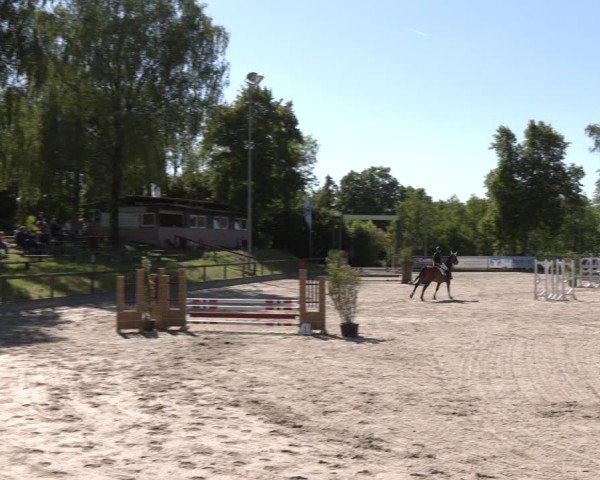 Reitturnier Erkrath - Uhlenhof 2025