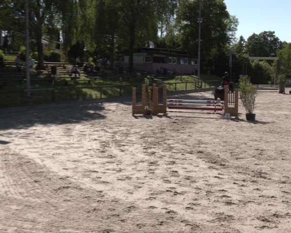 Reitturnier Erkrath - Uhlenhof 2025