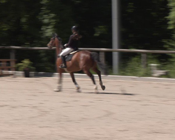 Reitturnier Erkrath - Uhlenhof 2025