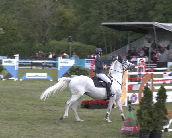 Reitturnier Bremen - Reitanlage Forkert 2025