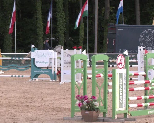 Reitturnier Ranshofen - Braunau am Inn 2025