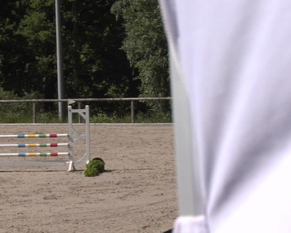 Reitturnier Erkrath - Uhlenhof 2025