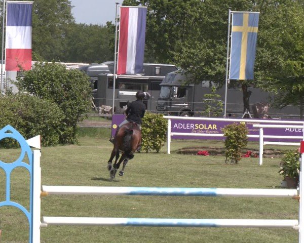 Reitturnier Bremen - Reitanlage Forkert 2025