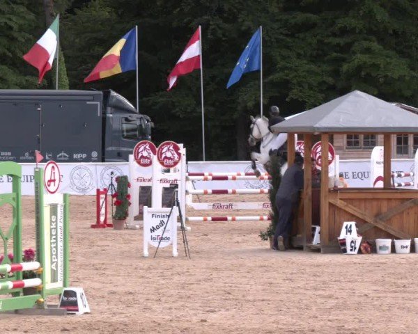 Reitturnier Ranshofen - Braunau am Inn 2025