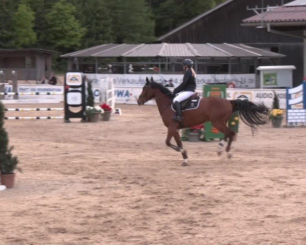 Reitturnier Ranshofen - Braunau am Inn 2025
