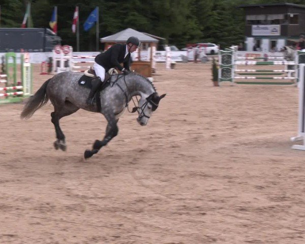 Reitturnier Ranshofen - Braunau am Inn 2025