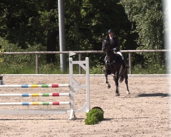 Reitturnier Erkrath - Uhlenhof 2025
