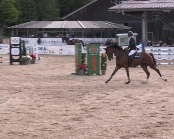 Reitturnier Ranshofen - Braunau am Inn 2025