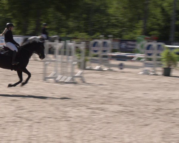Reitturnier Erkrath - Uhlenhof 2025