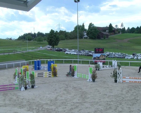 Reitturnier Rüti 2025