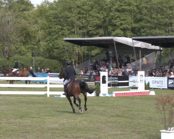 Reitturnier Bremen - Reitanlage Forkert 2025