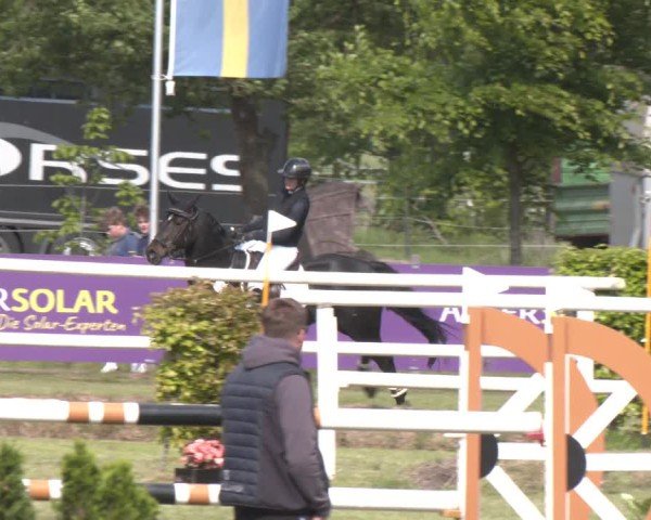 Reitturnier Bremen - Reitanlage Forkert 2025