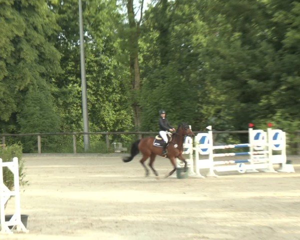Reitturnier Erkrath - Uhlenhof 2025