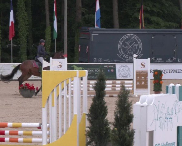 Reitturnier Ranshofen - Braunau am Inn 2025
