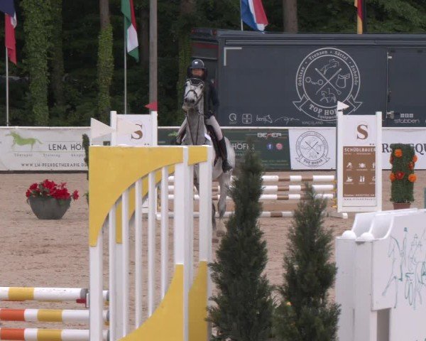 Reitturnier Ranshofen - Braunau am Inn 2025