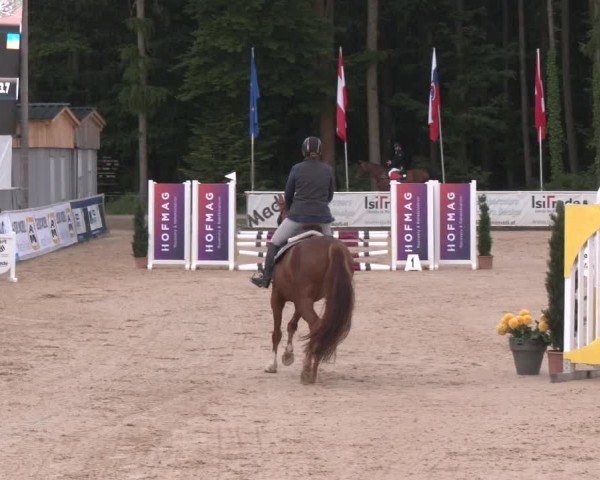 Reitturnier Ranshofen - Braunau am Inn 2025