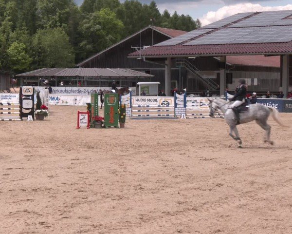 Reitturnier Ranshofen - Braunau am Inn 2025