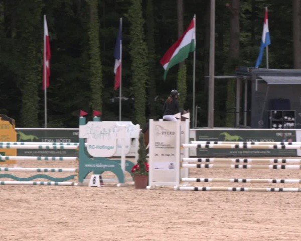 Reitturnier Ranshofen - Braunau am Inn 2025